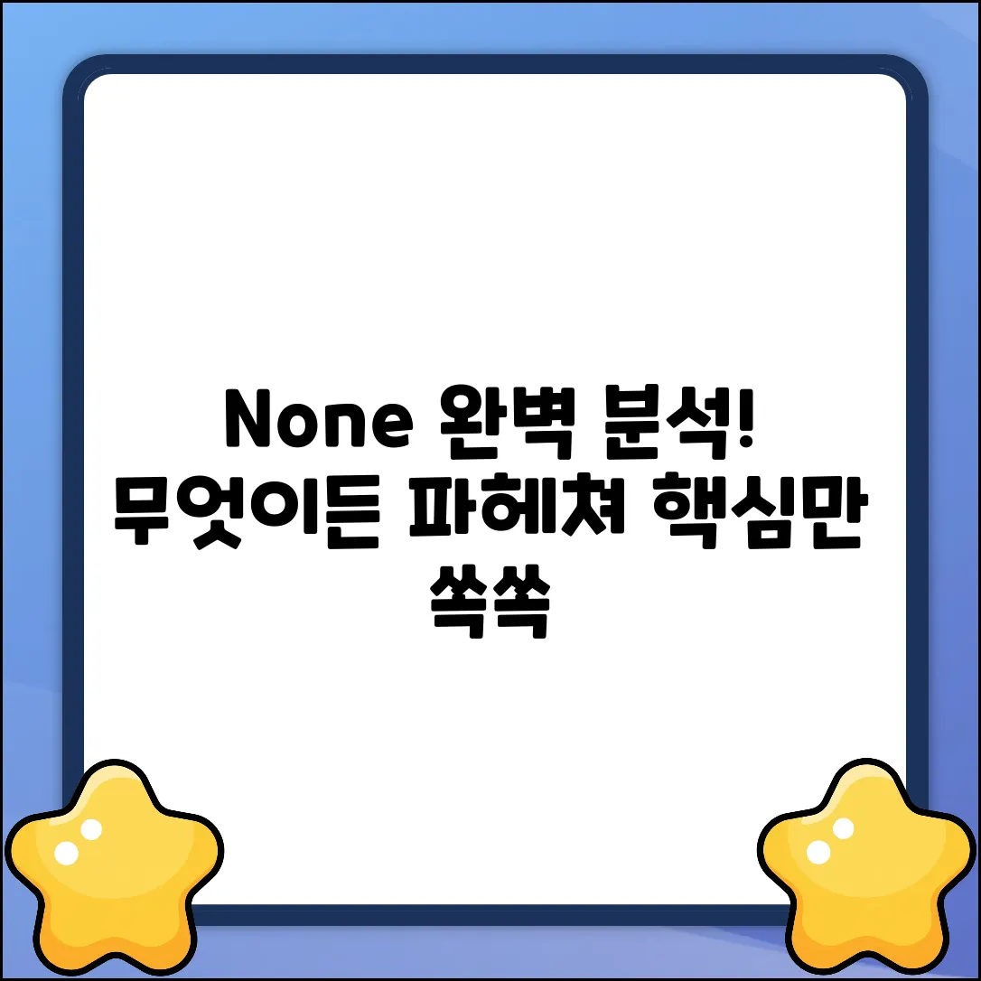 - None 완벽 분석: 무엇이든 파헤쳐 보자