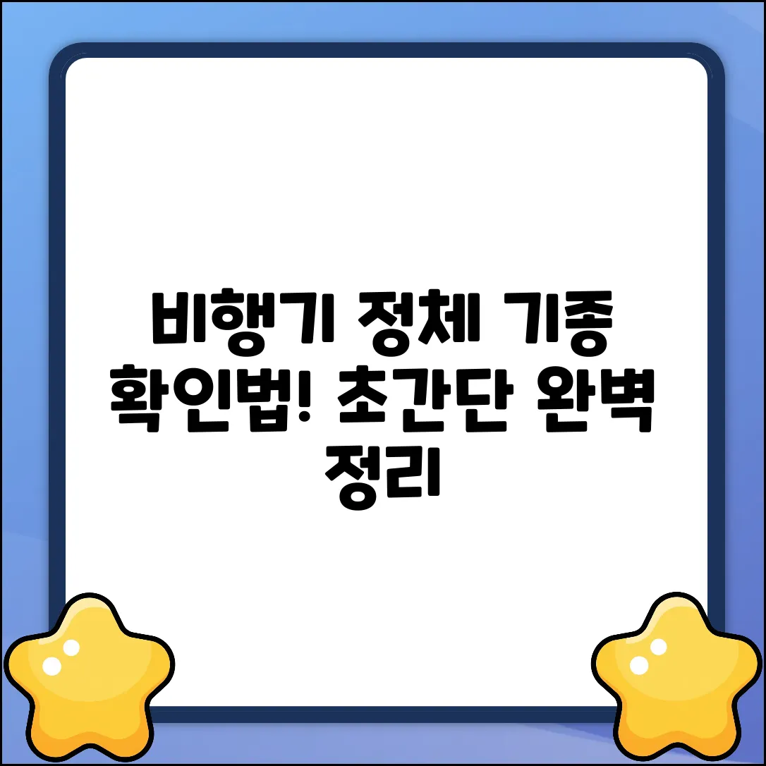 비행기, 무슨 기종일까? 확인 방법은?
