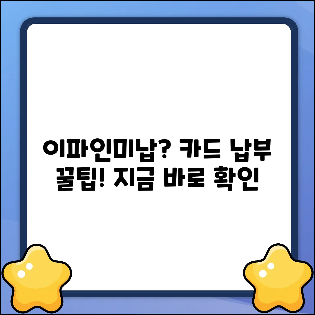 이파인 미납 범칙금, 카드 납부 꿀팁!