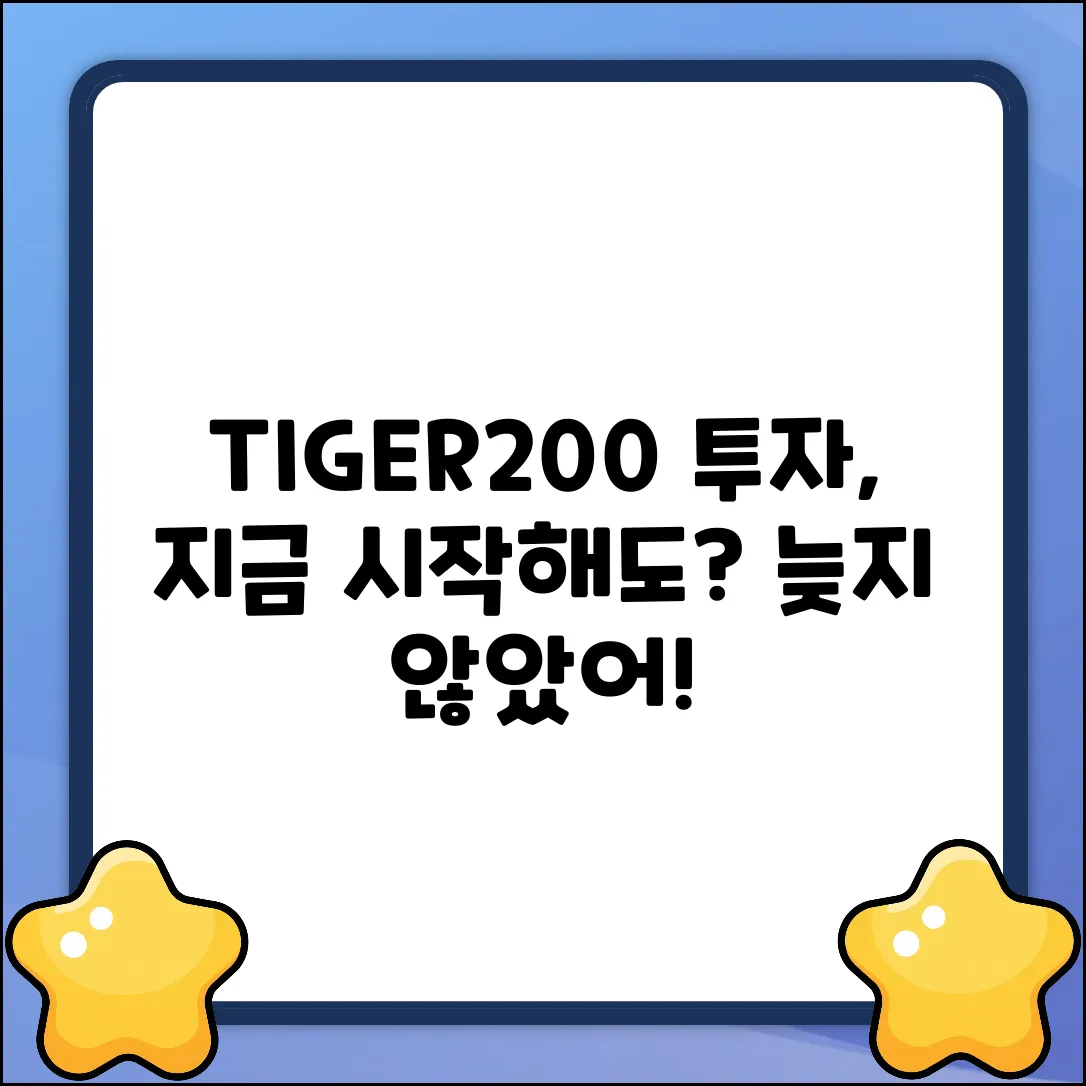 TIGER200 투자, 지금 시작해도 괜찮을까?