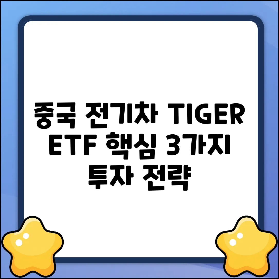 TIGER 차이나전기차 SOLACTIVE 투자 핵심 3가지