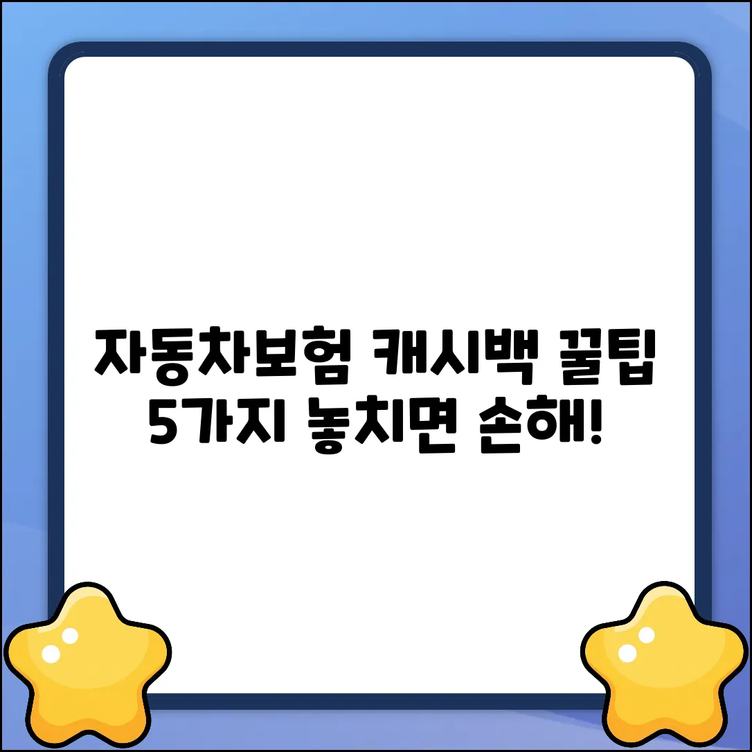 자동차보험 캐시백 꿀팁 5가지!