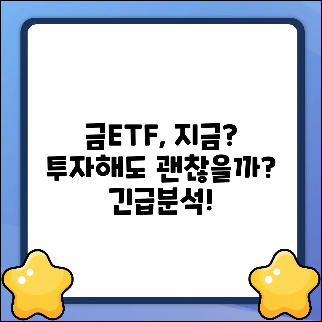 금ETF, 지금 투자해도 괜찮을까?